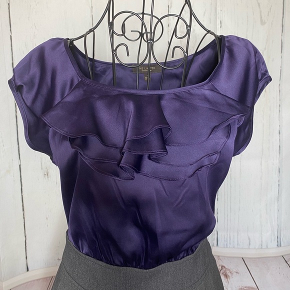 The Limited Dress - Picture 9 of 11